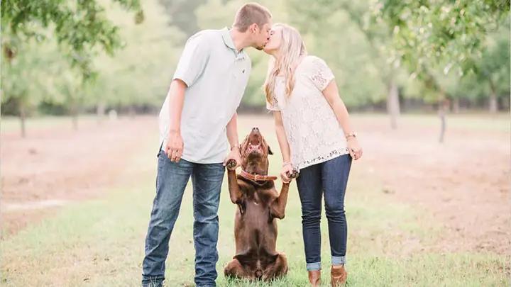 Sweet Engagement Session With Chocolate Lab Mobile Image