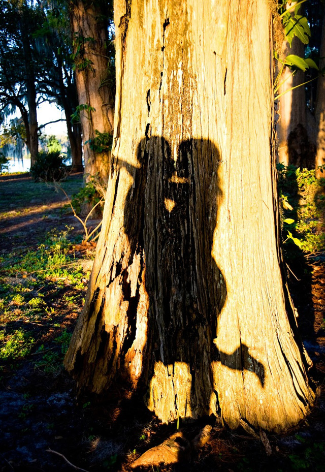 Silhouette and Shadow Engagement Photos ~ we ♥ this! moncheribridals.com
